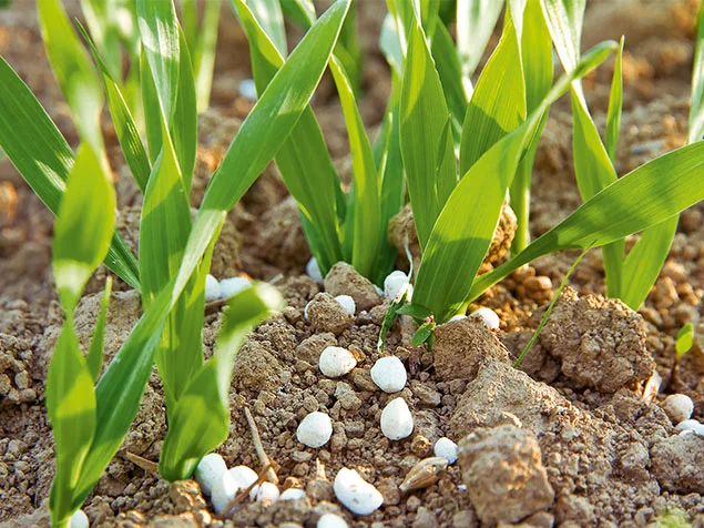 Phosphor - Klärschlammverwertung